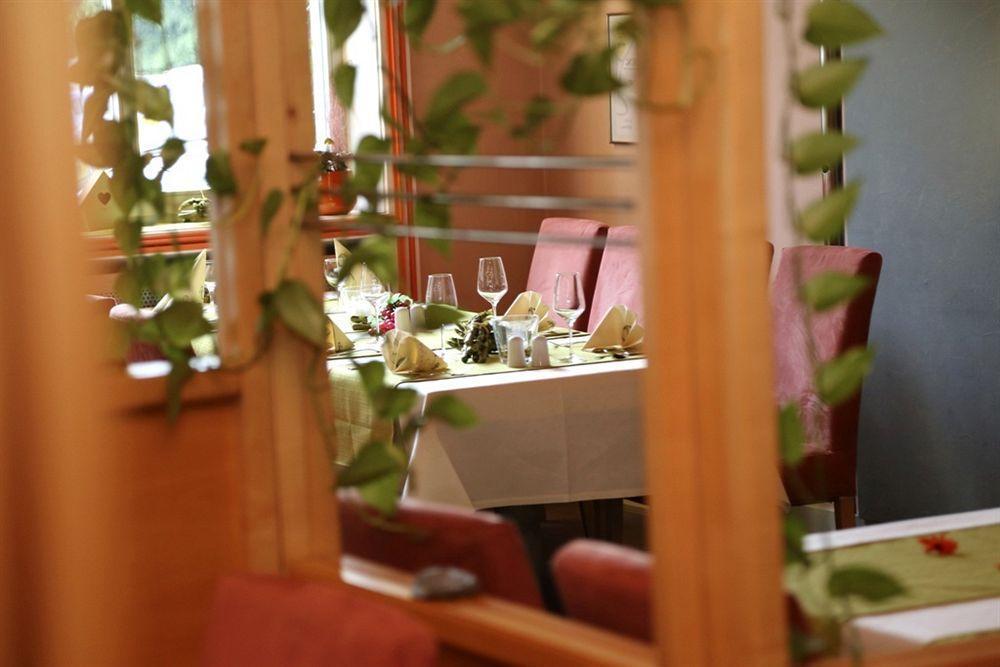 Muehlenthalers Park Hotel Konz Eksteriør billede