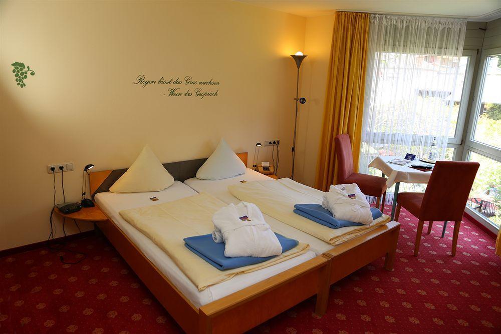 Muehlenthalers Park Hotel Konz Eksteriør billede
