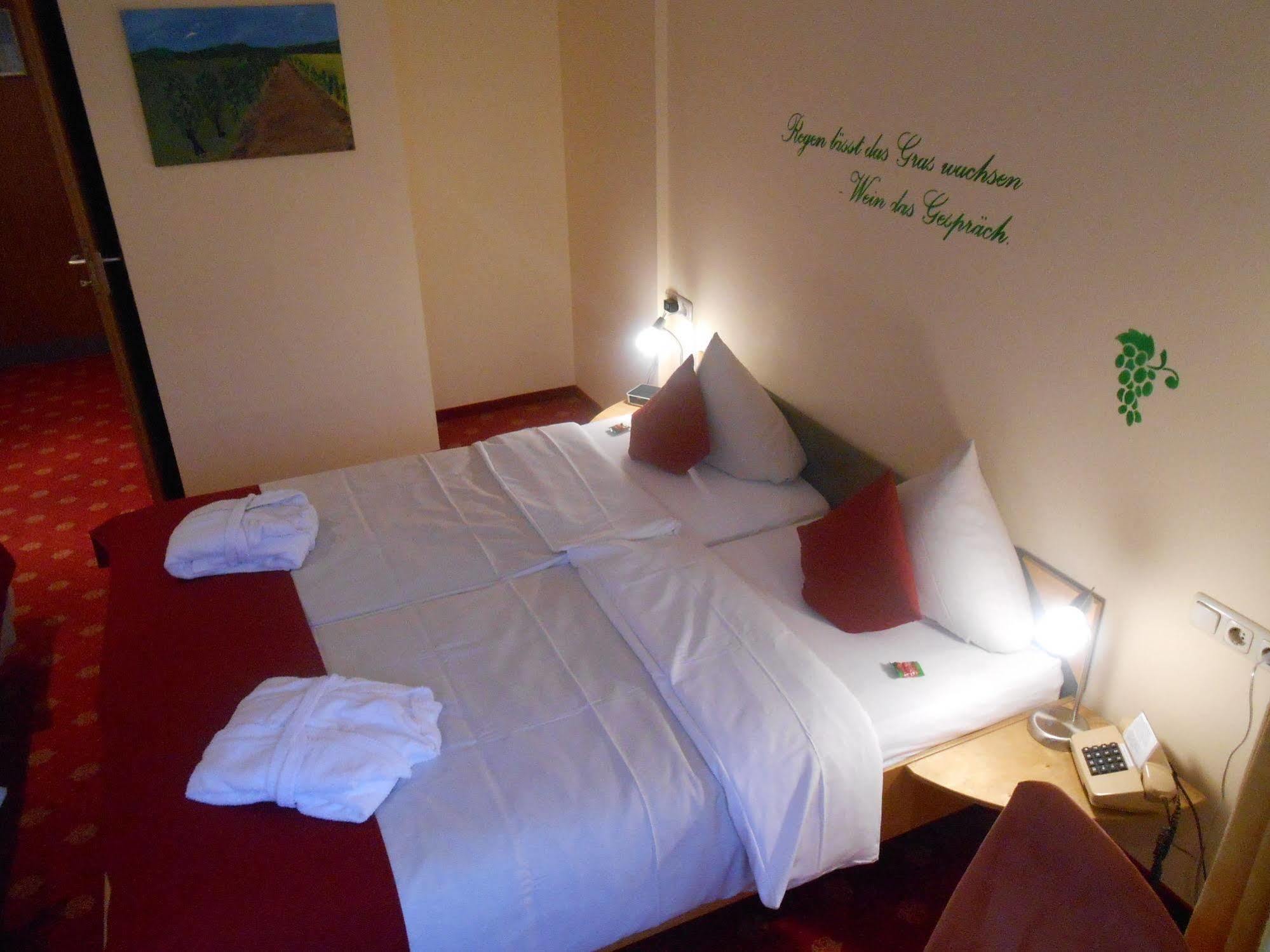 Muehlenthalers Park Hotel Konz Eksteriør billede