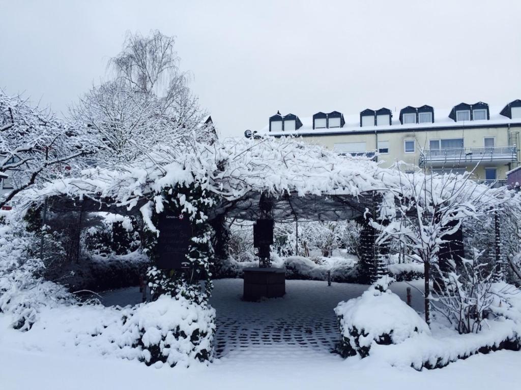 Muehlenthalers Park Hotel Konz Eksteriør billede